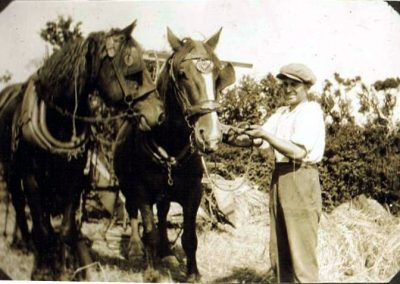 William Stone harvesting at Higher Farm
