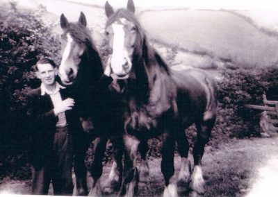 Jock Gordon with Fred Tripp's horses 1945