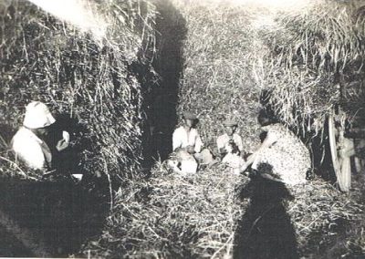 Drinkings in field: W R E Tucker on the left in white hat and Jack and William Tucker. By the side of a haystack