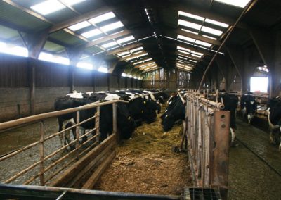 Computerised cattle feeding at Wakeham's milking parlour