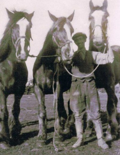 Harold Hannaford with horses late 1930s