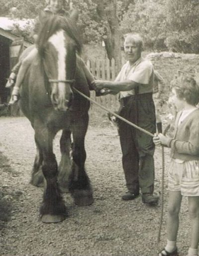 Garlands Farm Mr Fred Tripp with horse, Prince, child unknown, dog called Fly, Brenda Jeffery learnt to drive the car in garage, c.1954