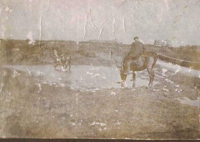 Horses drinking at Moorwell Pond, undated