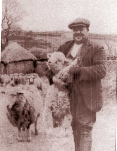 Ernest Tucker in Locks Court with lamb and sheep, early 1930s